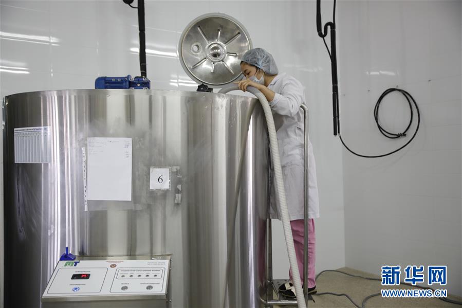 （國際&middot;圖文互動(dòng)）（4）從&ldquo;先遣隊(duì)&rdquo;到&ldquo;正規(guī)軍&rdquo;&mdash;&mdash;哈薩克斯坦駱駝奶粉入華記