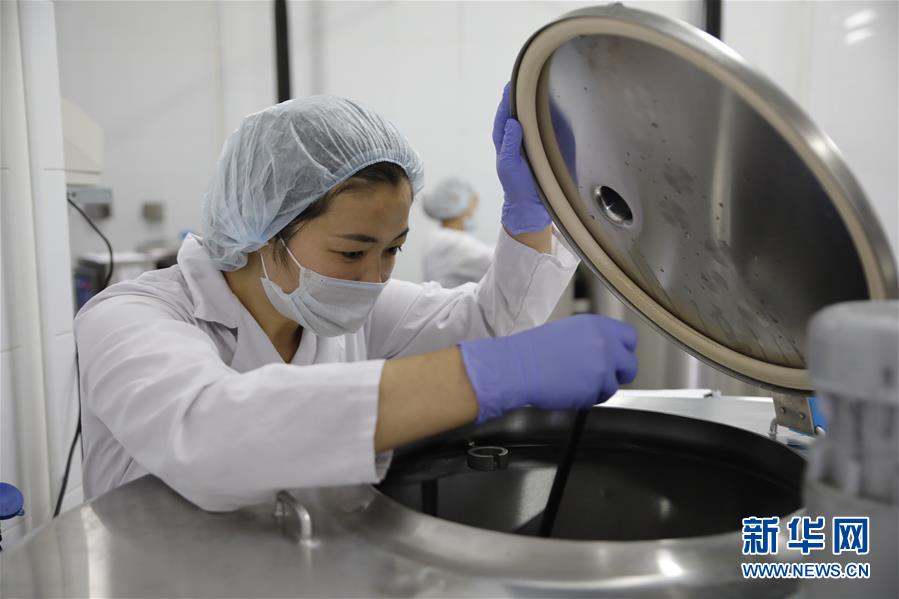 （國際&middot;圖文互動(dòng)）（5）從&ldquo;先遣隊(duì)&rdquo;到&ldquo;正規(guī)軍&rdquo;&mdash;&mdash;哈薩克斯坦駱駝奶粉入華記