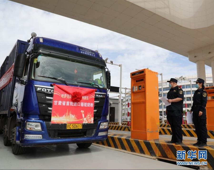 （國際&middot;圖文互動(dòng)）（7）從&ldquo;先遣隊(duì)&rdquo;到&ldquo;正規(guī)軍&rdquo;&mdash;&mdash;哈薩克斯坦駱駝奶粉入華記