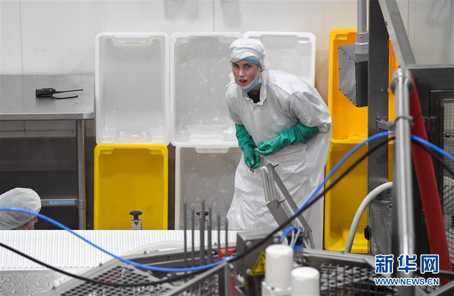 （第三屆進博會&middot;圖文互動）（2）通訊：新西蘭的進博會味道，甜