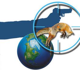 中國全球&ldquo;獵狐&rdquo;戰(zhàn)果豐碩！