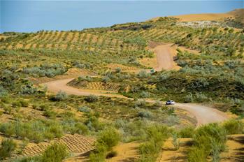 沙海綠洲好休憩&mdash;&mdash;庫布其激活&ldquo;美麗經(jīng)濟&rdquo;