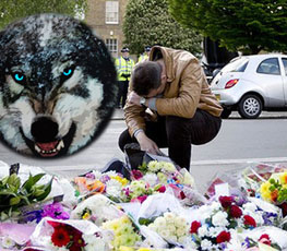 血案頻發(fā) "獨狼"緣何兇猛？